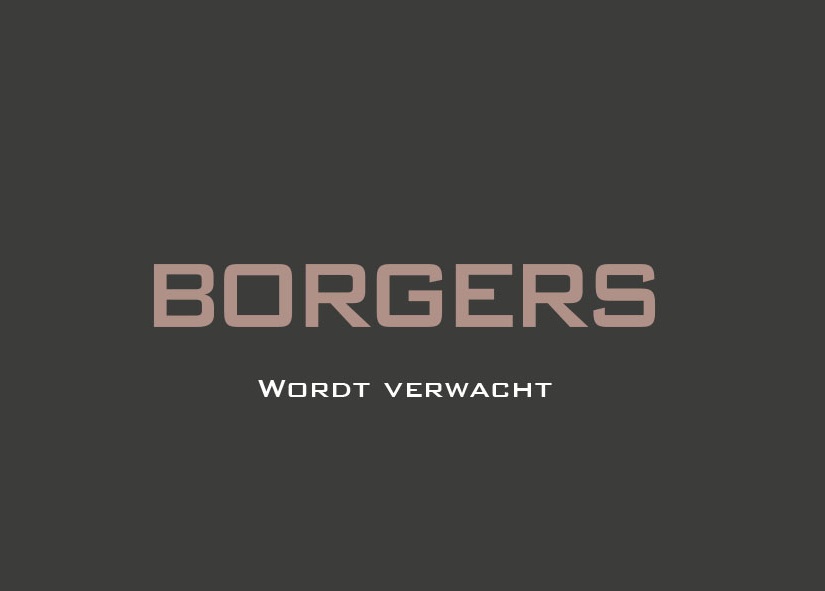 Logo Borgers vierkant-verwacht
