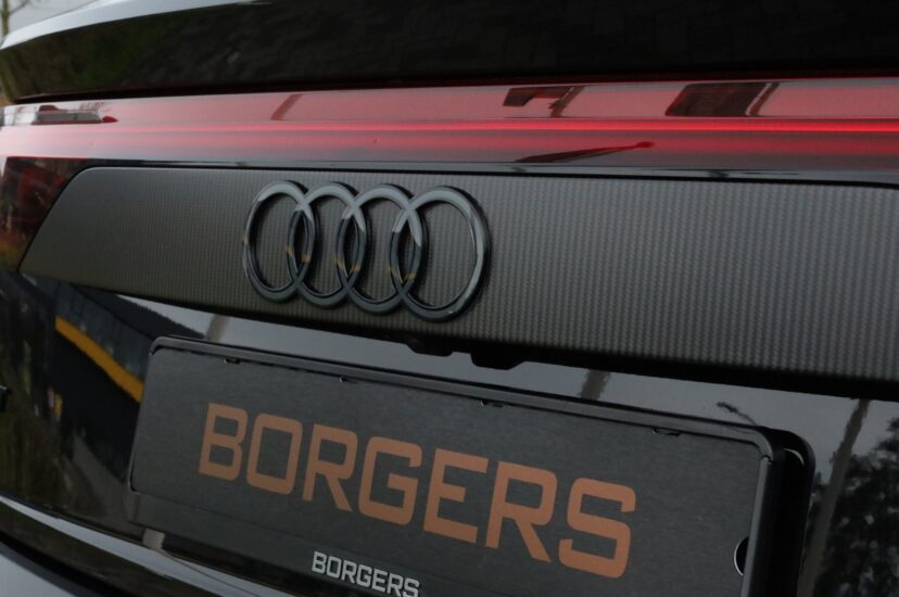 Audi RSQ8-LE Performance