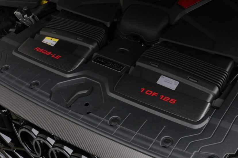 Audi RSQ8-LE Performance